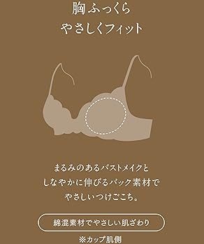 Amazon | [ウイング/ワコール] ブラショーツ 2セット Wing